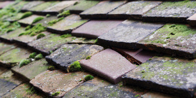Knightwick roof repair costs